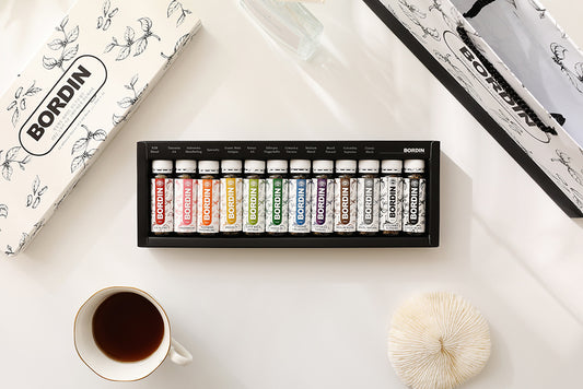 BORDIN Cold Brew Coffee Ampoule Set - 12 Flavor