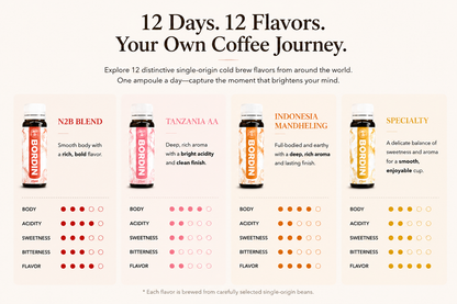 BORDIN Cold Brew Coffee Ampoule Set - 12 Flavor